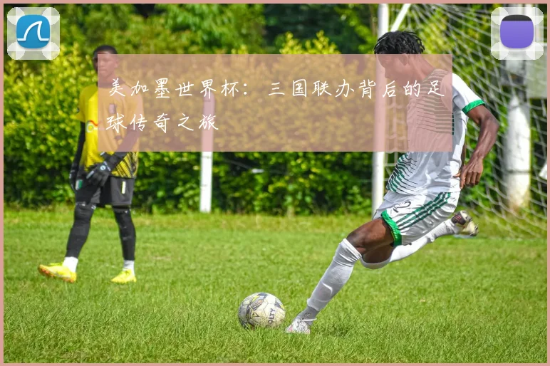 美加墨世界杯:三国联办背后的足球传奇之旅