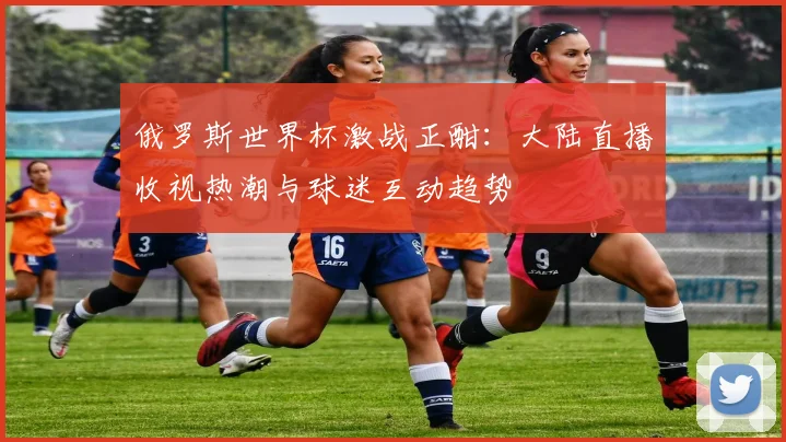 俄罗斯世界杯激战正酣：大陆直播收视热潮与球迷互动趋势