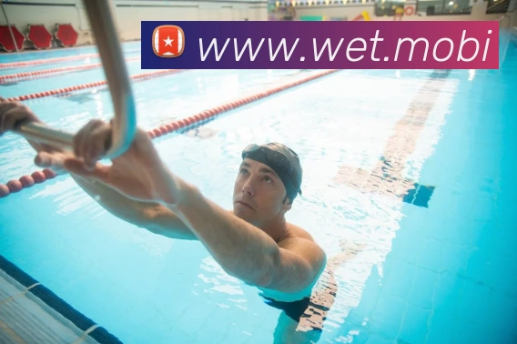 开云在线官网登录入口平台生态图