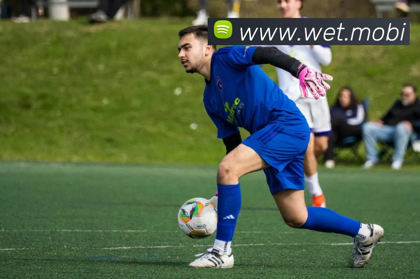 开云在线官网登录入口全站App